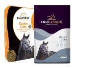 EQUILANNOO Gastro Cube (Equifirst Gastro Cube) 20 kg