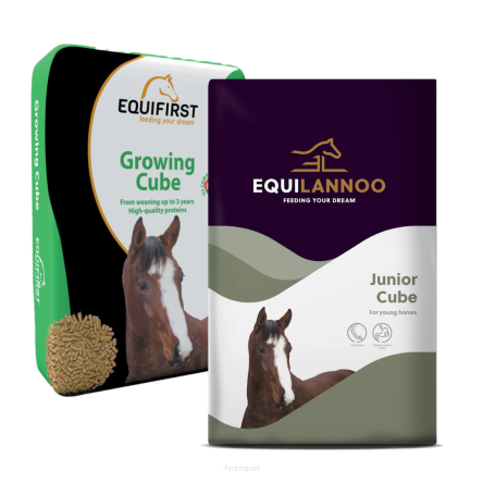 EQUILANNOO Junior Cube (Equifirst Growing Cube) 20 kg