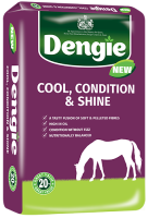 DENGIE Cool Condition & Shine 20 kg