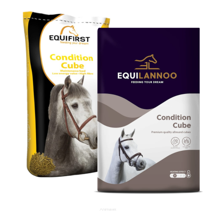 EQUILANNOO Condition Cube (Equifirst Condition Cube) 20 kg