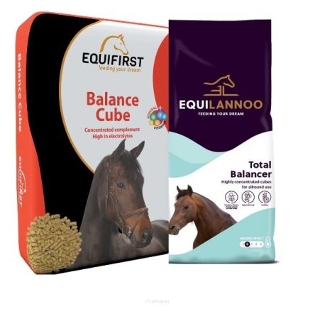 EQUILANNOO Total Balancer (Equifirst Balance Cube) 20 kg